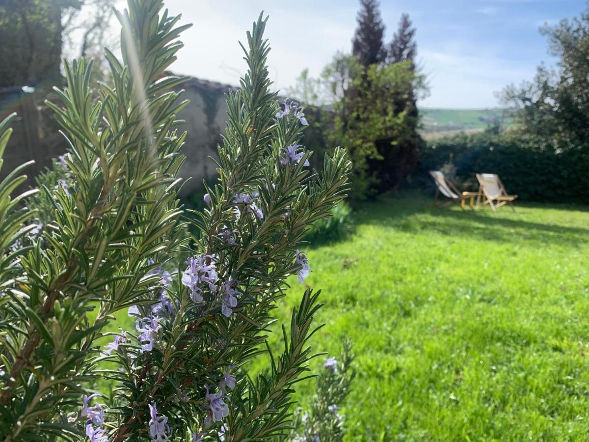Le Gite De Buffetieres Saint-Romain-de-Popey Eksteriør bilde